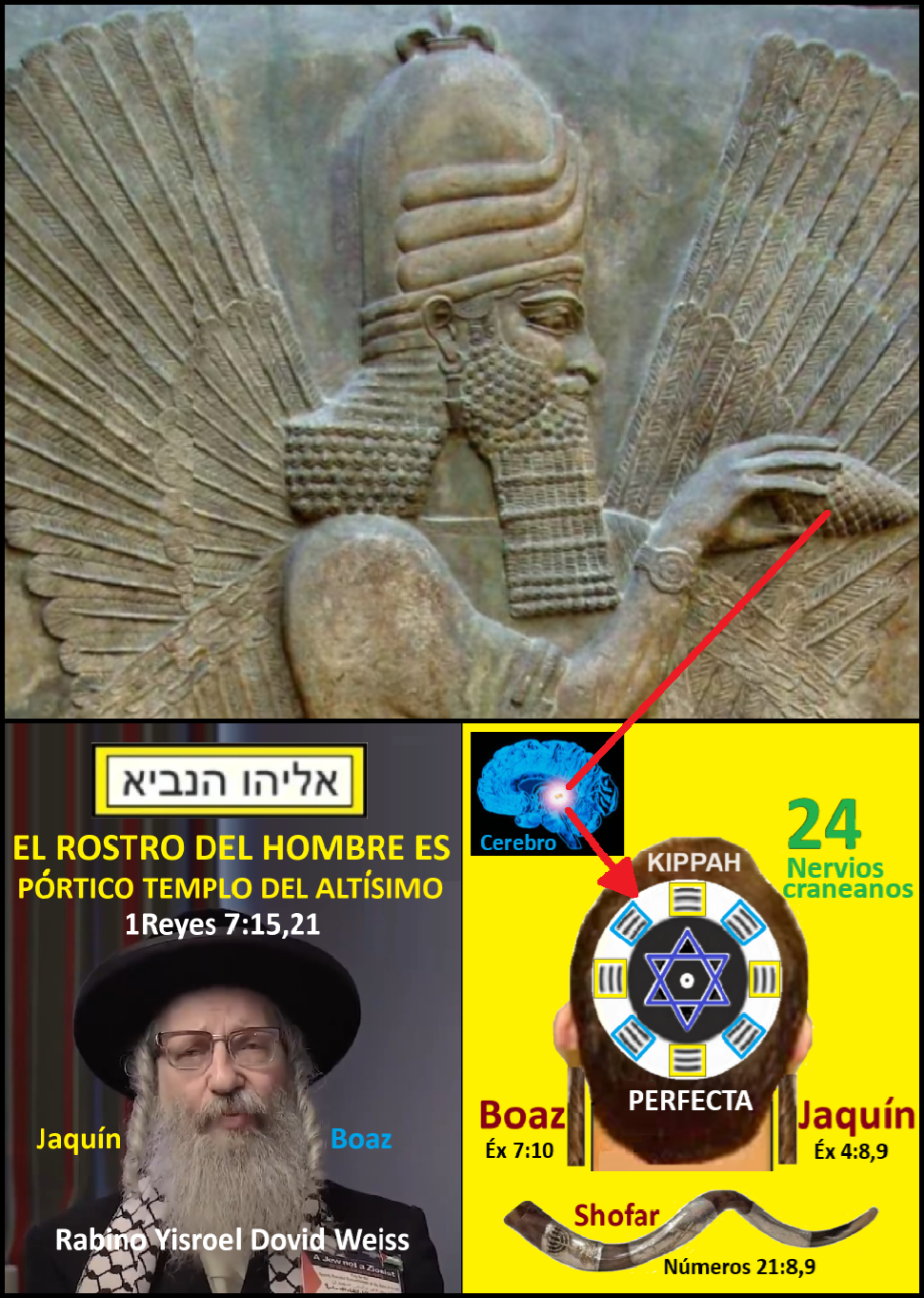 Imperio mundial de la profecia